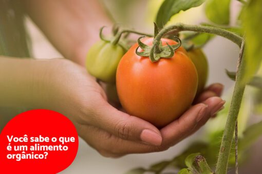 alimentos organicos